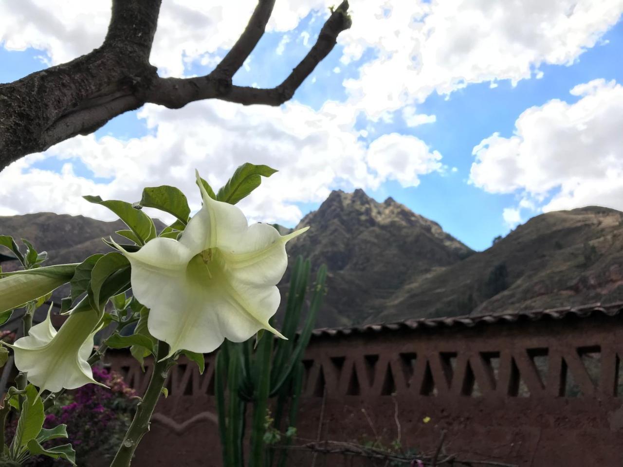 Pisac Inca Guest House 외부 사진